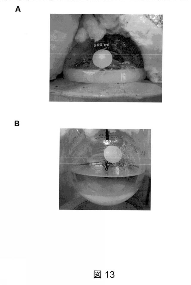 6825082-硫酸リチウムおよび硫酸を含む水性組成物を処理する方法 図000050