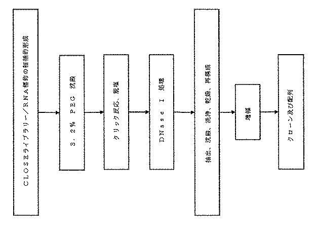 6910295-診断治療融合的な応用のための方法及びキット 図000050