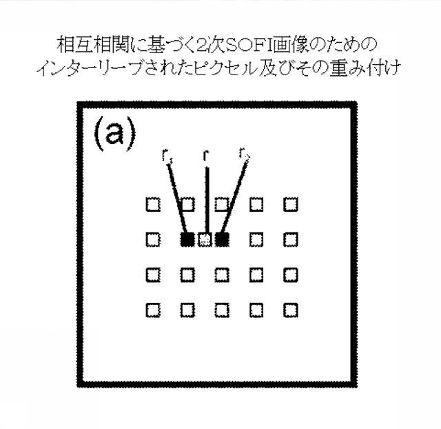 5856252-超解像光ゆらぎイメージング（ＳＯＦＩ） 図000051