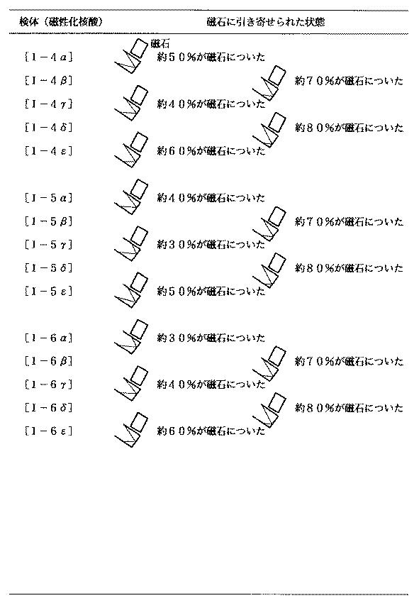 5899577-強磁性を有する核酸の合成方法と利用方法 図000051