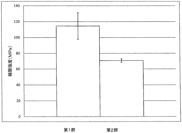 5916989-異なる質感を有する表面を備えた人工関節及びその人工関節の作製方法 図000051