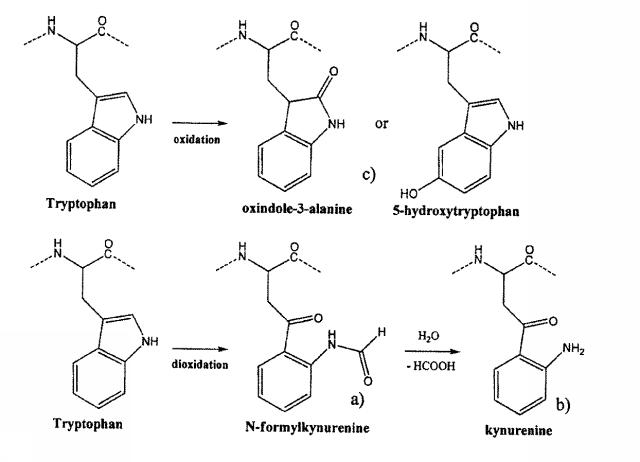 5996824-高純度ＰＴＨ含有凍結乾燥製剤およびその製造方法 図000051