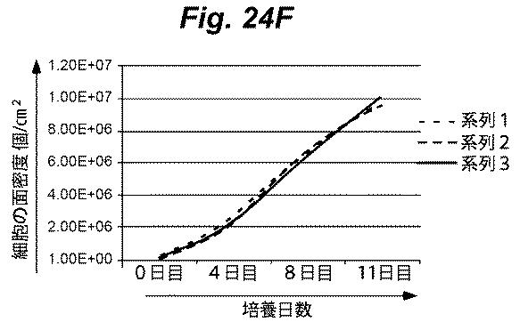 6386447-養子細胞療法のための改良された細胞培養法 図000051