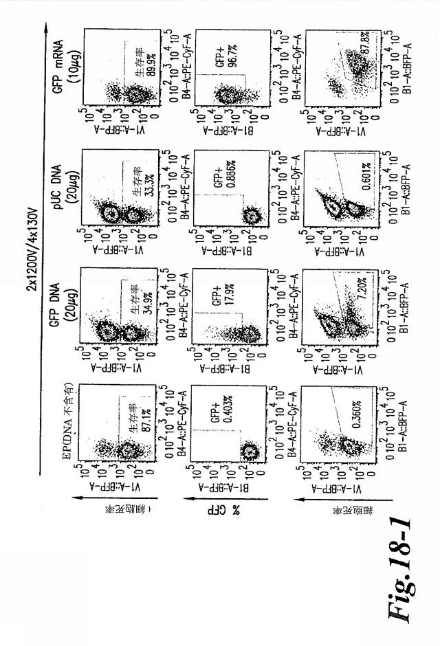 6463672-ＴＣＲアルファ欠損Ｔ細胞を増殖させるためのプレＴアルファまたはその機能性変種の使用 図000051