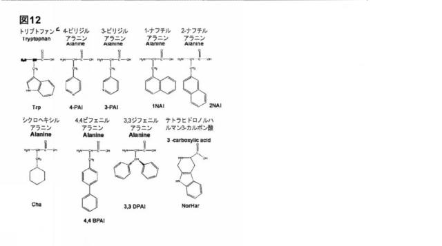 6588890-構築されたポリペプチド特異性のモジュレーション 図000051