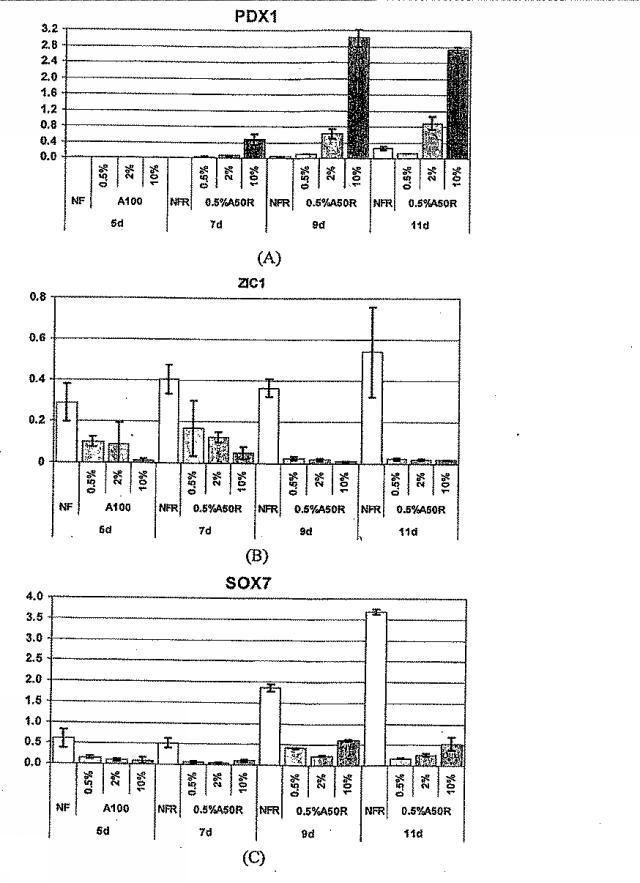 6595041-ＰＤＸ１発現背側及び腹側前腸内胚葉 図000051