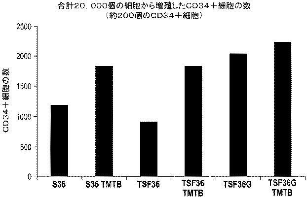 6647334-成体幹細胞のインビトロでの増殖 図000051