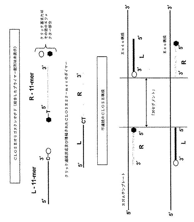 6910295-診断治療融合的な応用のための方法及びキット 図000051