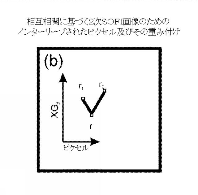 5856252-超解像光ゆらぎイメージング（ＳＯＦＩ） 図000052