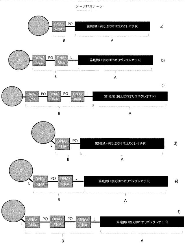 6255092-ＰＣＳＫ９を標的とするアンチセンスオリゴマーおよびコンジュゲート 図000052