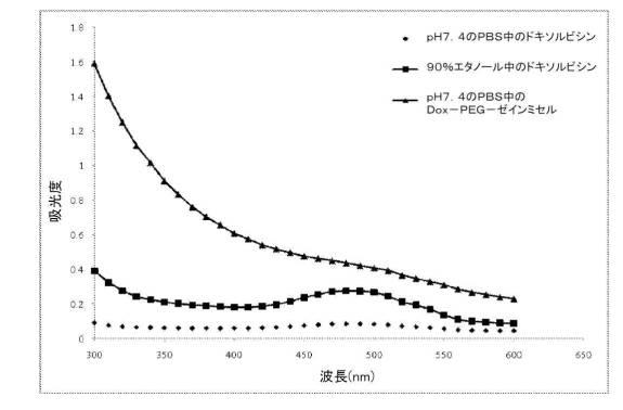 6306666-ポリマーコンジュゲートタンパク質ミセル 図000052