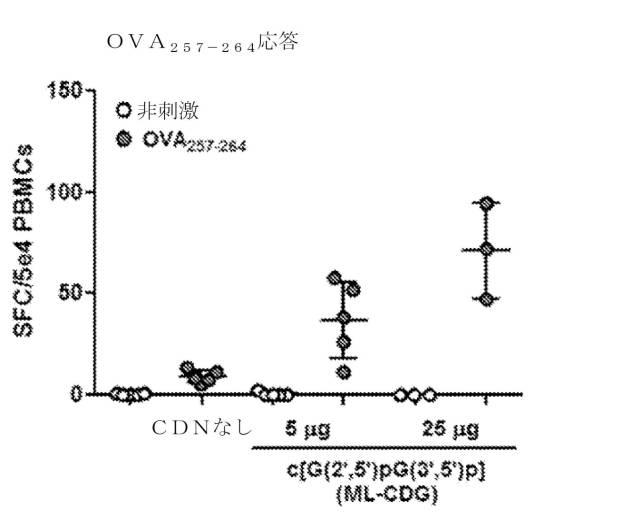 6453855-「インターフェロン遺伝子の刺激因子」依存性シグナル伝達を活性化するための組成物及び方法 図000052