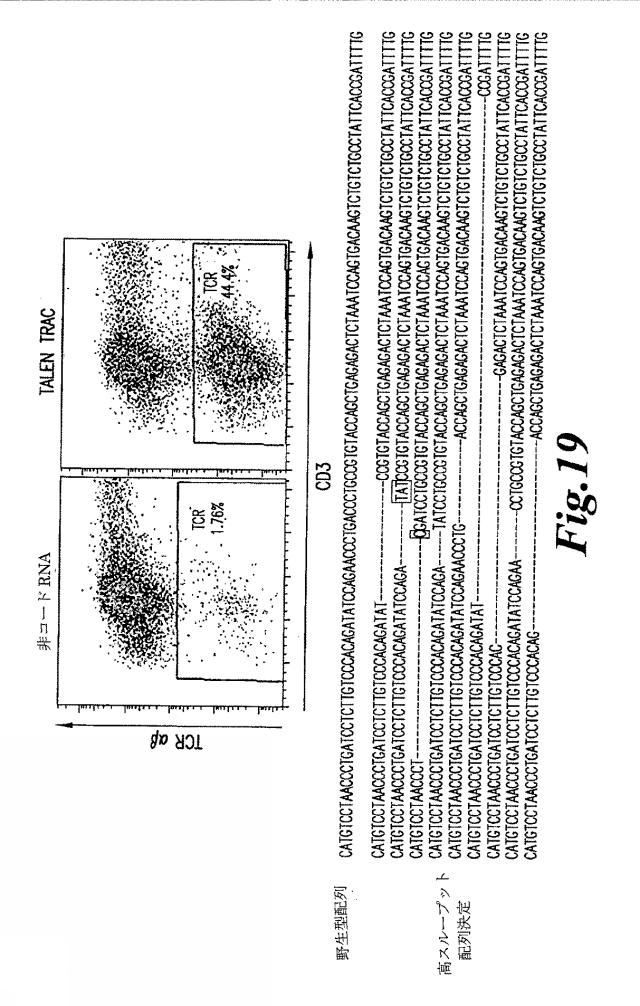 6463672-ＴＣＲアルファ欠損Ｔ細胞を増殖させるためのプレＴアルファまたはその機能性変種の使用 図000052