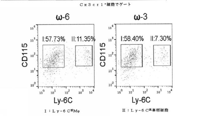 6526570-炎症及び血管形成を減少させるＣＹＰ４５０脂質メタボライト 図000052