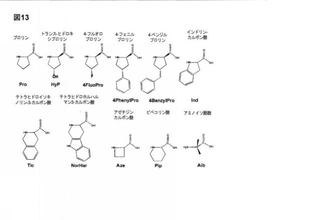 6588890-構築されたポリペプチド特異性のモジュレーション 図000052