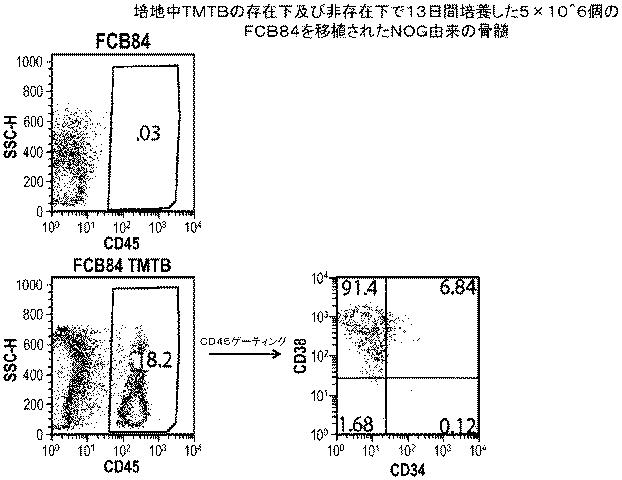 6647334-成体幹細胞のインビトロでの増殖 図000052