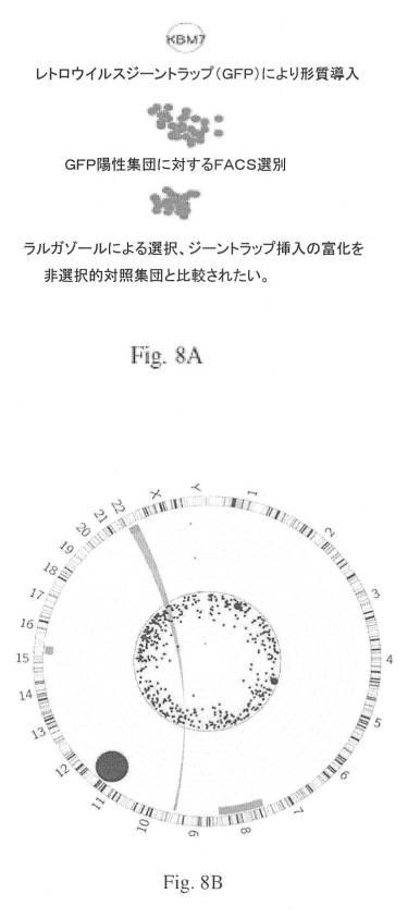 6785801-新しいキャップ基ラルガゾールの類似体の合成及び使用 図000052