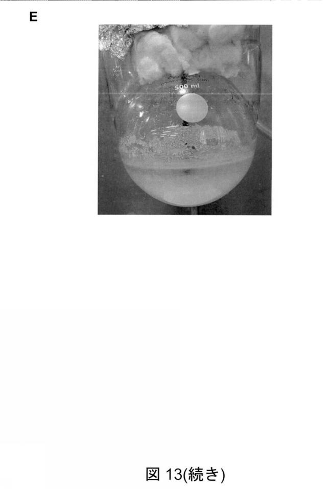 6825082-硫酸リチウムおよび硫酸を含む水性組成物を処理する方法 図000052