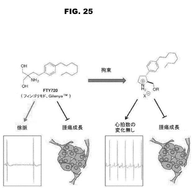 6853539-合成スフィンゴ脂質様分子、薬物、これらの合成方法、および処置方法 図000052