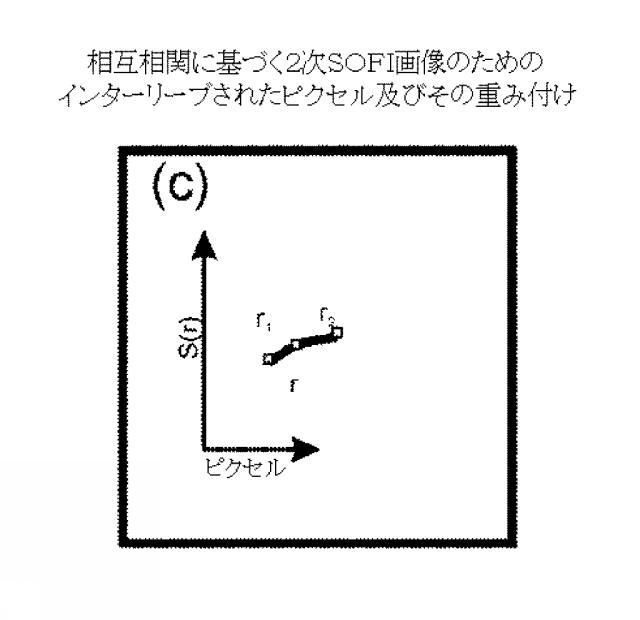 5856252-超解像光ゆらぎイメージング（ＳＯＦＩ） 図000053