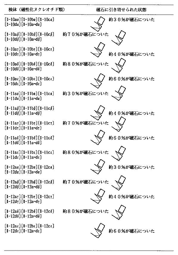 5899577-強磁性を有する核酸の合成方法と利用方法 図000053