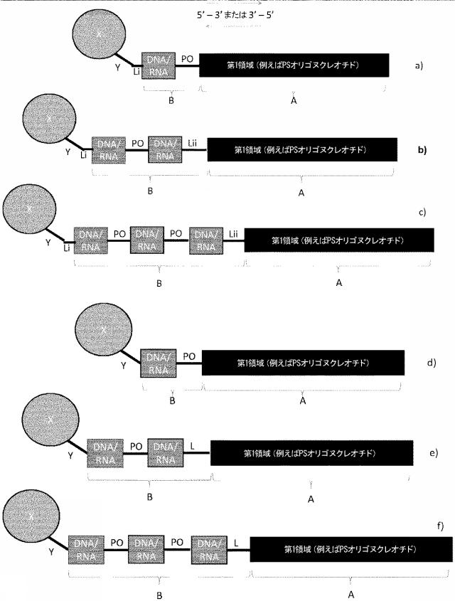 6255092-ＰＣＳＫ９を標的とするアンチセンスオリゴマーおよびコンジュゲート 図000053