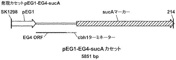 6290626-糖化プロセスにおける粘度を低下させる方法 図000053