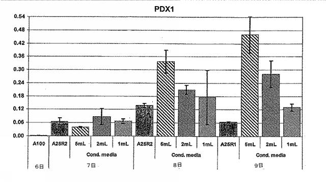 6595041-ＰＤＸ１発現背側及び腹側前腸内胚葉 図000053