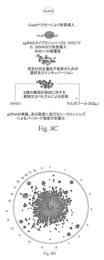 6785801-新しいキャップ基ラルガゾールの類似体の合成及び使用 図000053