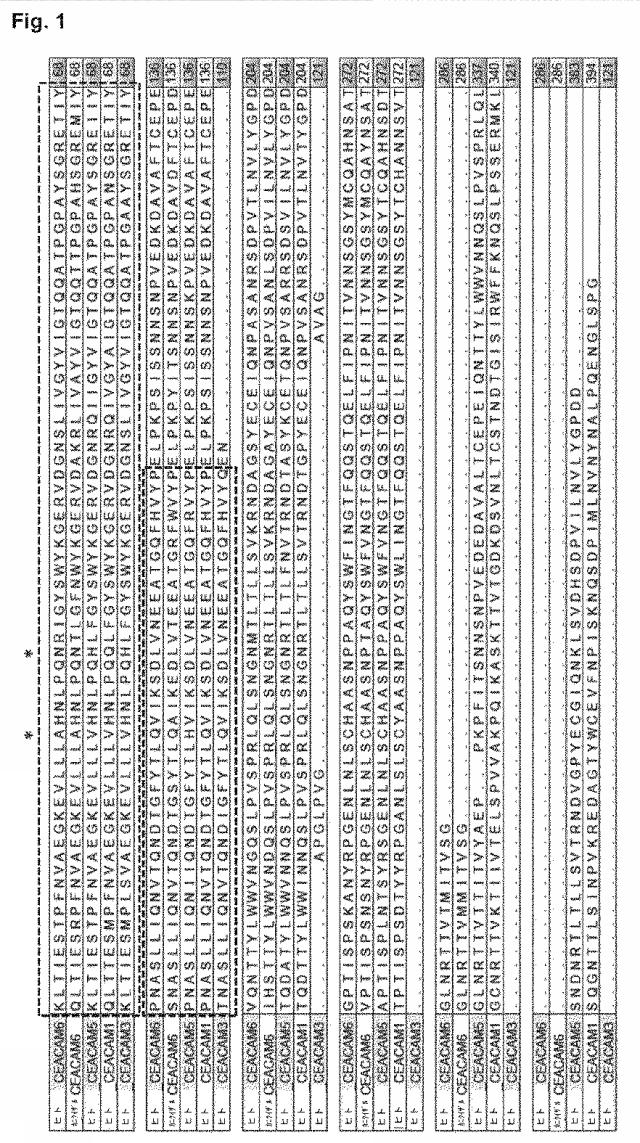 6815329-抗ＣＥＡＣＡＭ６抗体およびその使用 図000053
