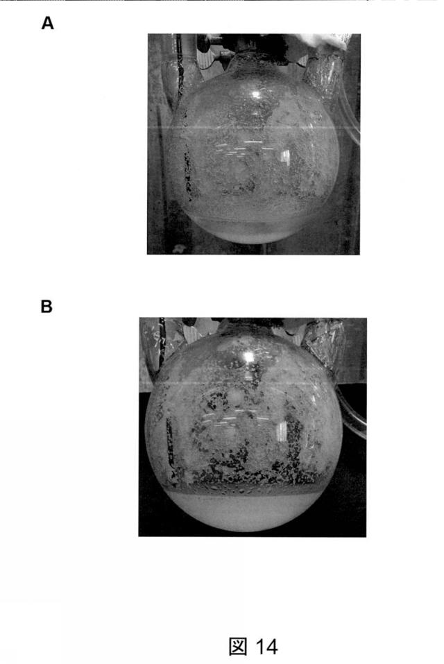 6825082-硫酸リチウムおよび硫酸を含む水性組成物を処理する方法 図000053