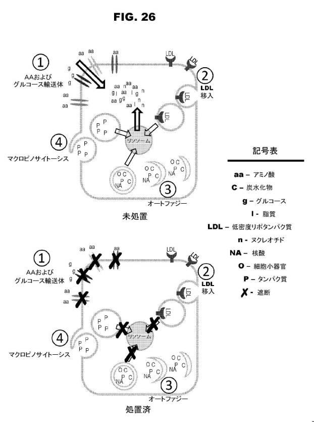 6853539-合成スフィンゴ脂質様分子、薬物、これらの合成方法、および処置方法 図000053