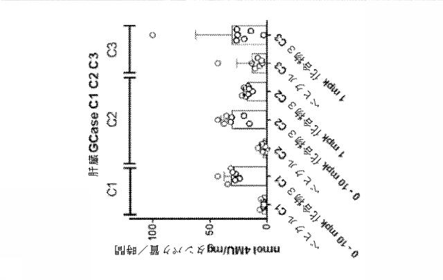 6857648-リソソーム障害及び中枢神経系の変性障害の治療及び予防のための（３Ｒ，４Ｒ，５Ｓ）−５−（ジフルオロメチル）ピペリジン−３，４−ジオールを含むレジメン 図000053