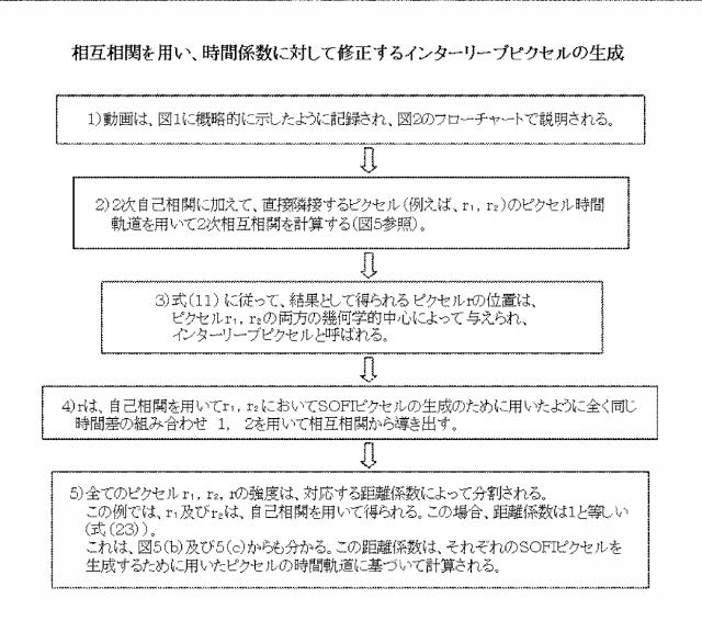 5856252-超解像光ゆらぎイメージング（ＳＯＦＩ） 図000054