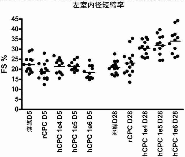 5894071-心臓組織由来細胞 図000054