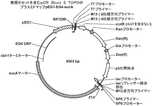 6290626-糖化プロセスにおける粘度を低下させる方法 図000054