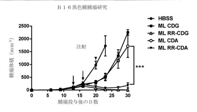 6453855-「インターフェロン遺伝子の刺激因子」依存性シグナル伝達を活性化するための組成物及び方法 図000054