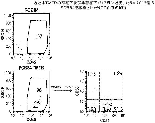 6647334-成体幹細胞のインビトロでの増殖 図000054