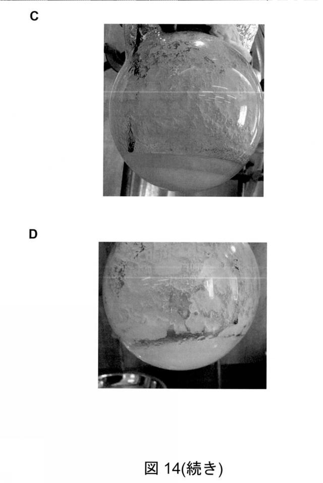 6825082-硫酸リチウムおよび硫酸を含む水性組成物を処理する方法 図000054