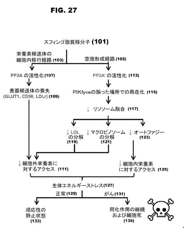 6853539-合成スフィンゴ脂質様分子、薬物、これらの合成方法、および処置方法 図000054