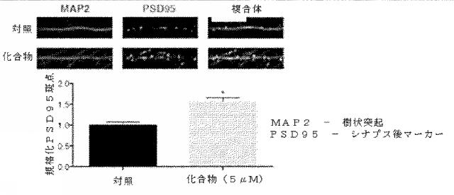 6931002-ベンゾチアゾール両親媒性物質 図000054