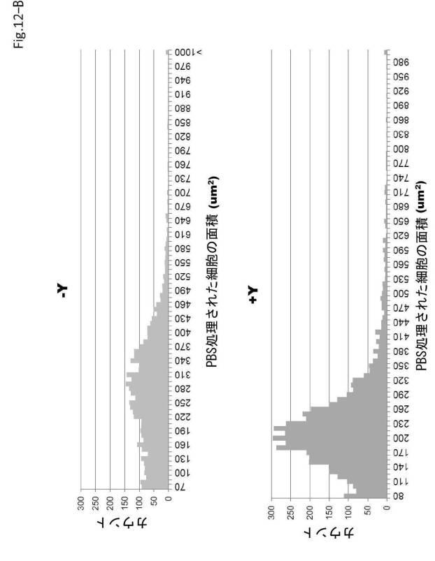 6954682-ヒト機能性角膜内皮細胞およびその応用 図000054