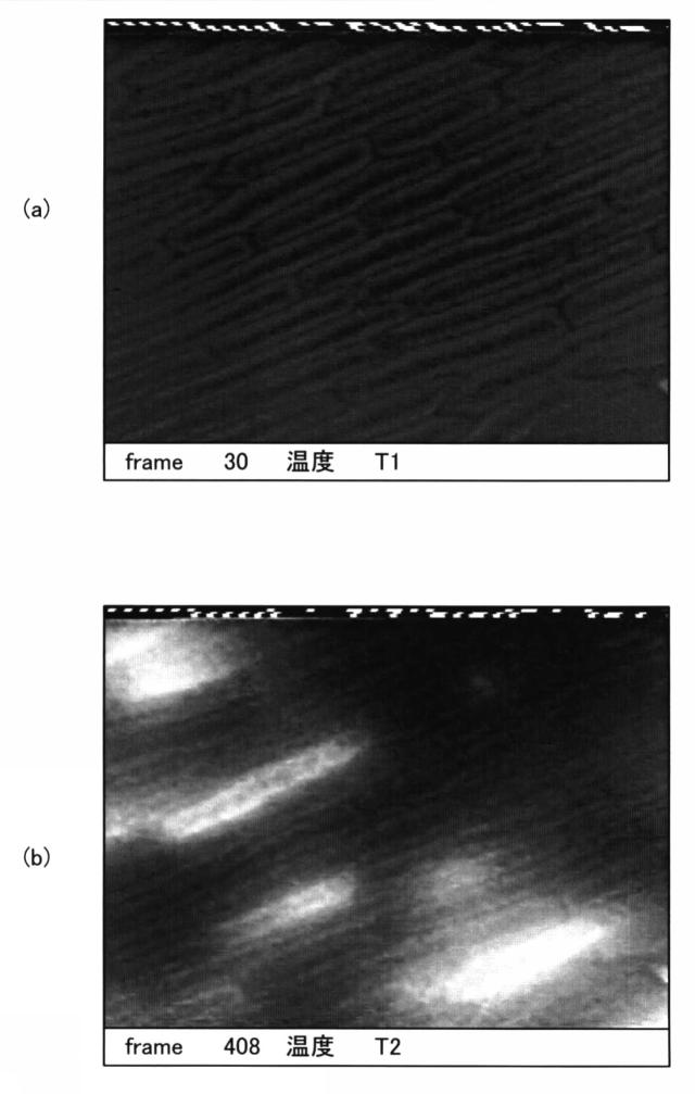 5650578-データ画像記録装置、熱分析装置、データ画像記録方法、画像データの正規化方法、熱物性量の算出方法および記録画像の表示方法 図000055