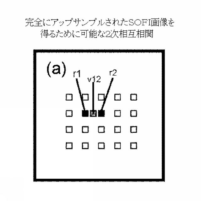 5856252-超解像光ゆらぎイメージング（ＳＯＦＩ） 図000055