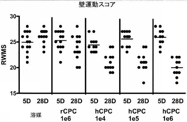 5894071-心臓組織由来細胞 図000055