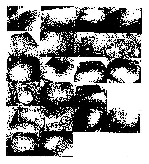 5907658-自己消失性コーティング 図000055