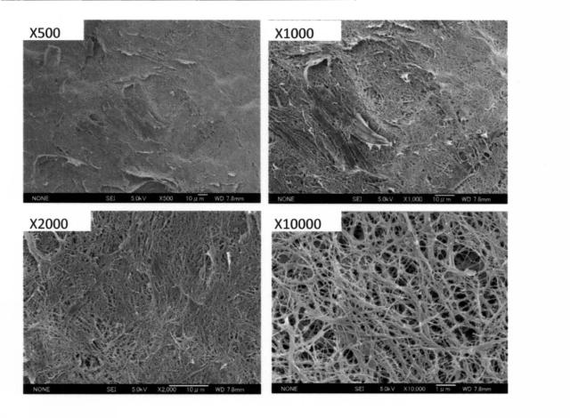 6091589-化学修飾セルロースナノファイバー及び熱可塑性樹脂を含有する繊維強化樹脂組成物 図000055