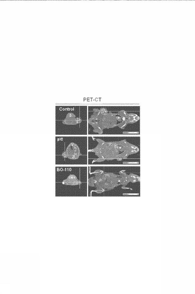 6222749-医薬組成物及びその使用 図000055