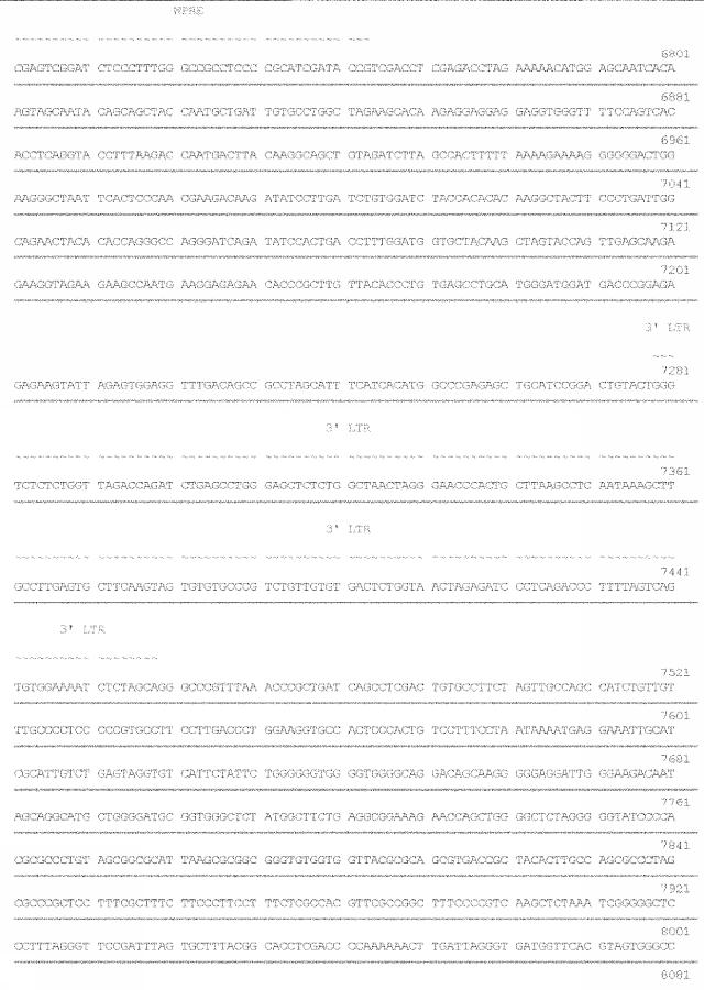 6259766-フラタキシンレベルを増加させる方法および生成物ならびにその使用 図000055