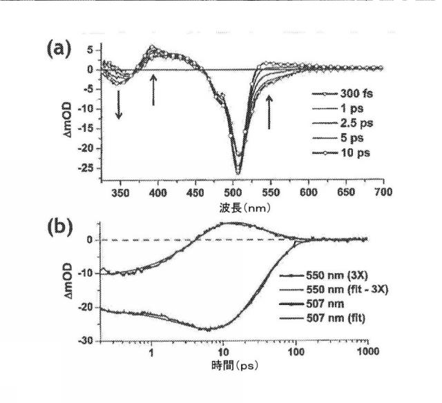 6339561-光起電力のためのジピリン系材料、極性媒体中で対称性破壊性分子内電荷移動が可能な化合物およびこれを含む有機光起電力デバイス 図000055